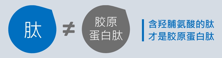 胶原蛋白2